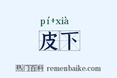 皮下是什么意思的图片